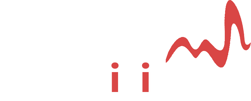 thedizipulse.com