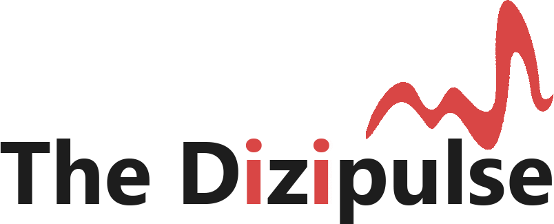 thedizipulse.com